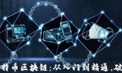 如何理解比特币区块链：