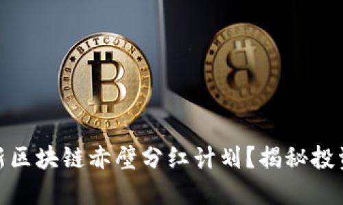 如何参与最新区块链赤壁分红计划？揭秘投资收益与风险