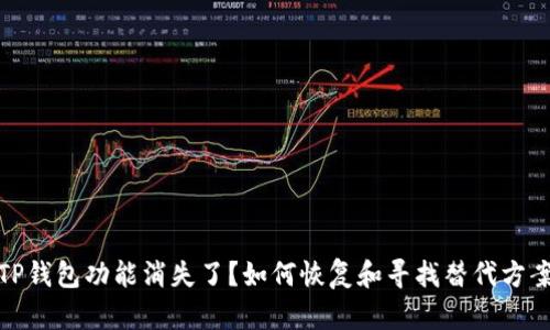 TP钱包功能消失了？如何恢复和寻找替代方案