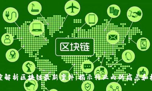 深度解析区块链最新案件：揭示行业内的痛点和机遇