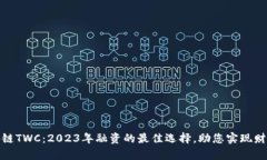: 区块链TWC：2023年融资的