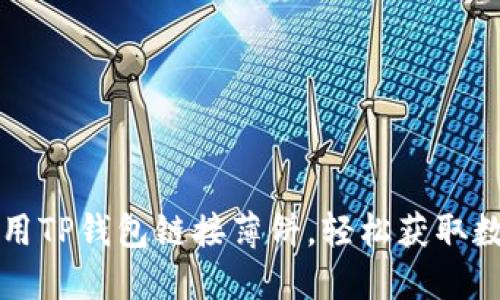 如何使用TP钱包链接薄饼，轻松获取数字资产