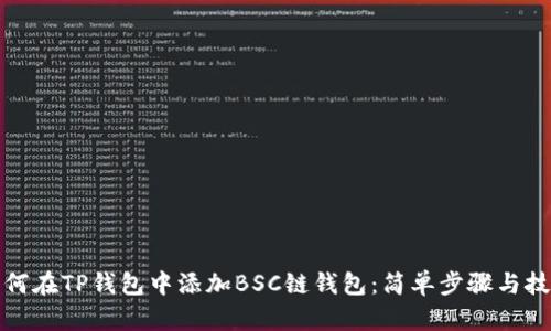 如何在TP钱包中添加BSC链钱包：简单步骤与技巧