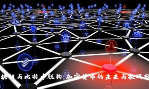 区块链与比特币脱钩：加密货币的未来与挑战分析
