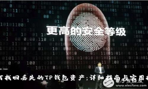 如何找回丢失的TP钱包资产：详细指南与实用技巧