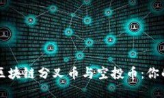 深入了解区块链分叉币与