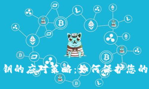 TP钱包没有私钥的应对策略：如何保护您的数字资产安全