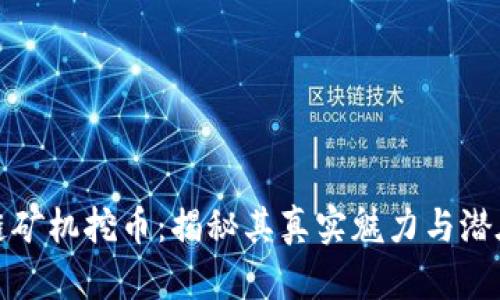 区块链矿机挖币：揭秘其真实魅力与潜在风险