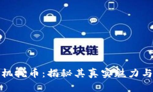 区块链矿机挖币：揭秘其真实魅力与潜在风险