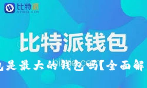 ### TP钱包是最大的钱包吗？全面解析与优劣对比