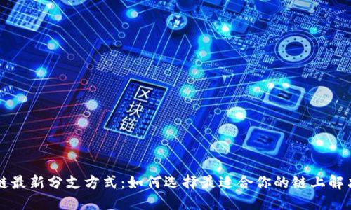 区块链最新分支方式：如何选择最适合你的链上解决方案