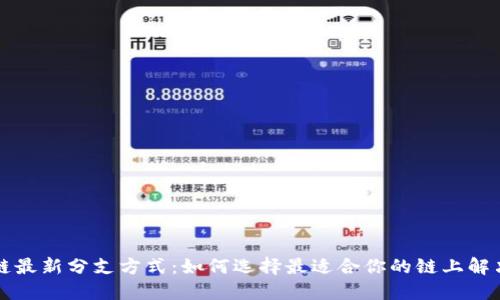 区块链最新分支方式：如何选择最适合你的链上解决方案