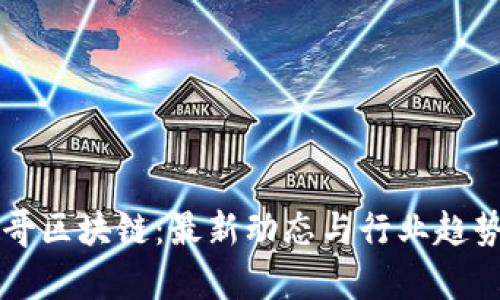 大表哥区块链：最新动态与行业趋势解析