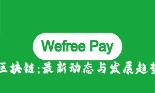 熊猫区块链：最新动态与发展趋势分析