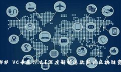 ### VC币是什么？深度解析