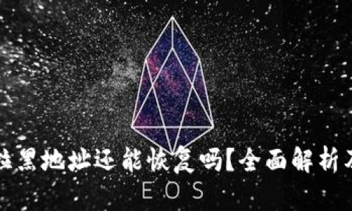 TP钱包被拉黑地址还能恢复吗？全面解析及解决方案