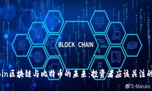 探索Wocoin区块链与比特币的未来：投资者应该关注的关键因素