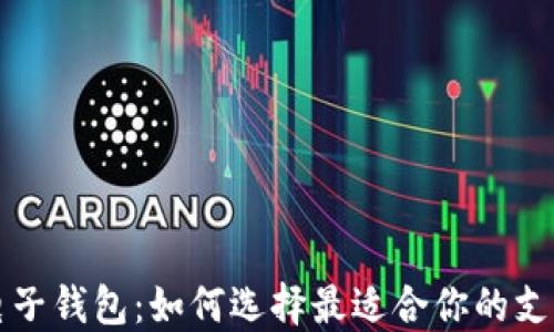 
虚拟电子钱包：如何选择最适合你的支付工具