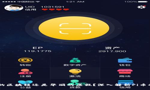 Pi币：真正的区块链还是华丽的虚假？深入解析Pi币的运作机制