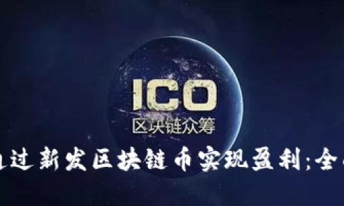 如何通过新发区块链币实现盈利：全面指南