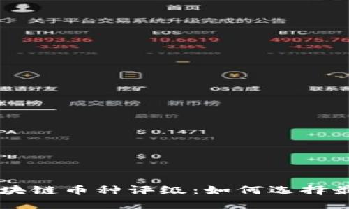 全面解析区块链币种评级：如何选择最佳投资项目