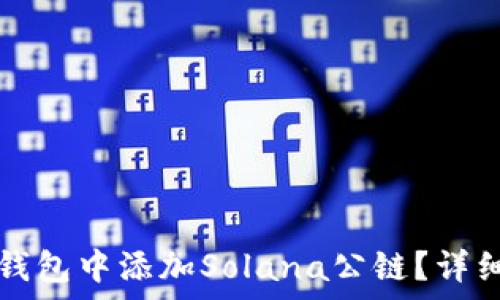   
如何在TP钱包中添加Solana公链？详细步骤解析