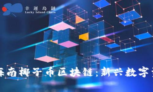 深入解析海南椰子币区块链：新兴数字资产的未来