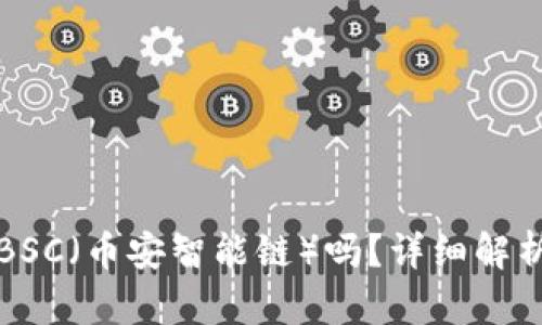 TP钱包支持BSC（币安智能链）吗？详细解析与使用指南