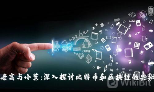 老高与小茉：深入探讨比特币和区块链的奥秘