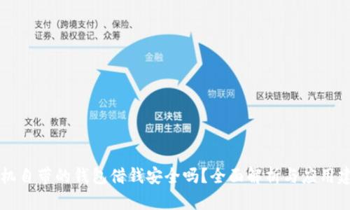手机自带的钱包借钱安全吗？全面解析与应用建议
