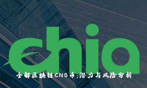 全解区块链CNB币：潜力与风险分析