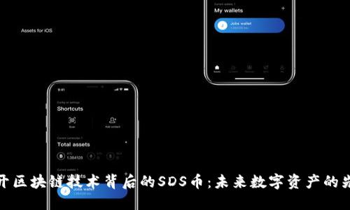 揭开区块链技术背后的SDS币：未来数字资产的先锋