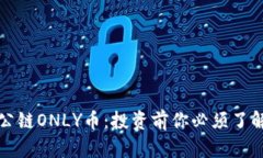 揭秘区块链公链ONLY币：投