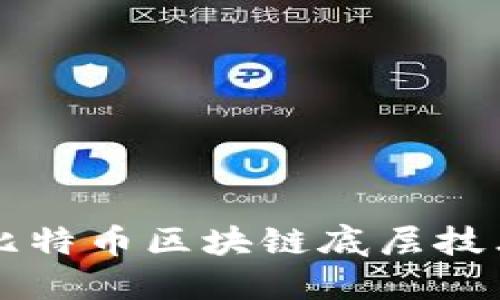 深入解读比特币区块链底层技术及其应用
