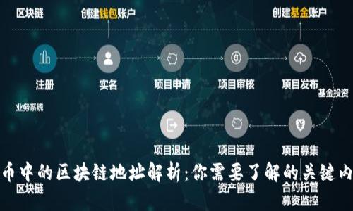 提币中的区块链地址解析：你需要了解的关键内容