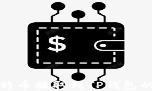 
如何将莱特币提取到TP钱包的详细指南