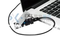 TP钱包支持的加密货币种类