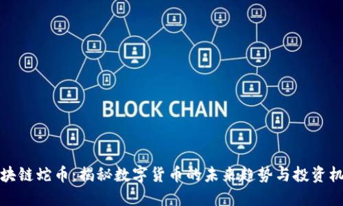 区块链蛇币：揭秘数字货币的未来趋势与投资机会
