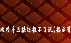 : 为什么比特币区块链提不