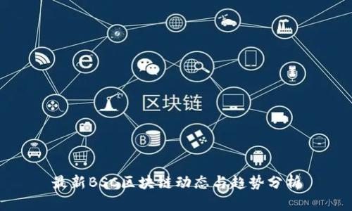 最新BSC区块链动态与趋势分析