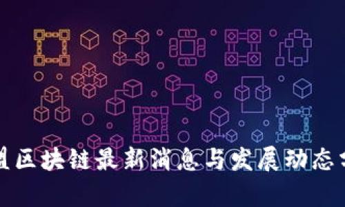 联盟区块链最新消息与发展动态分析