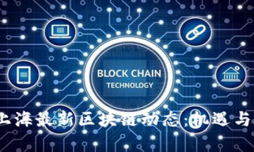 2023年上海最新区块链动态：机遇与挑战并存