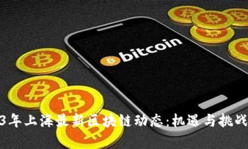 2023年上海最新区块链动态：机遇与挑战并存