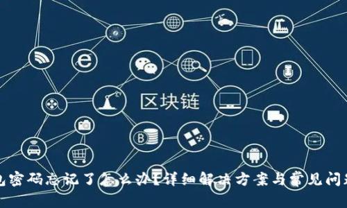 TP钱包密码忘记了怎么办？详细解决方案与常见问题解析