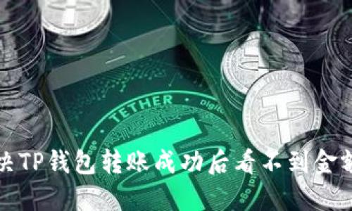 如何解决TP钱包转账成功后看不到金额的问题