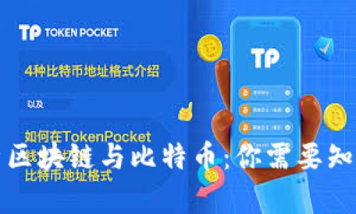 全面解析区块链与比特币：你需要知道的一切