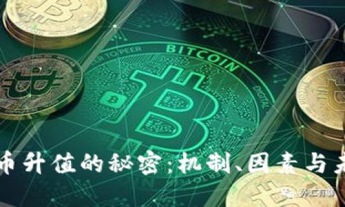 区块链币升值的秘密：机制、因素与未来趋势