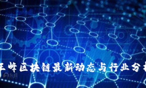 王峰区块链最新动态与行业分析