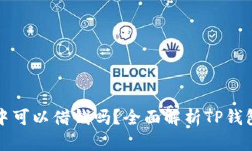 : 在TP钱包中可以借钱吗？全面解析TP钱包的借贷功能