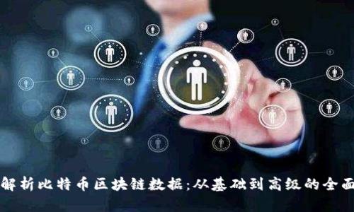 深入解析比特币区块链数据：从基础到高级的全面指南